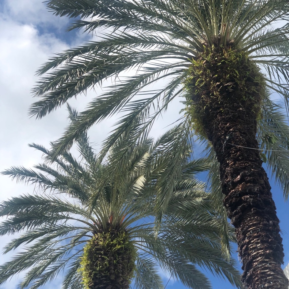 Meet your Posher, Magdalena